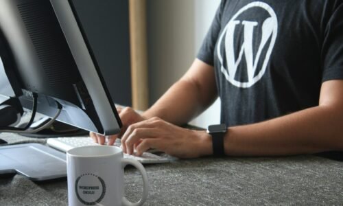 Niyə WordPress ilə Veb Sayt Yaratmalıyıq?
